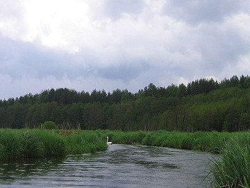 Varėnė prie Varėnio ežero. Foto:JonasS at lt.wikipedia