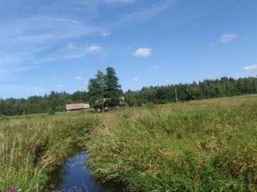 Upė Visinčia prie Baumiliškių
